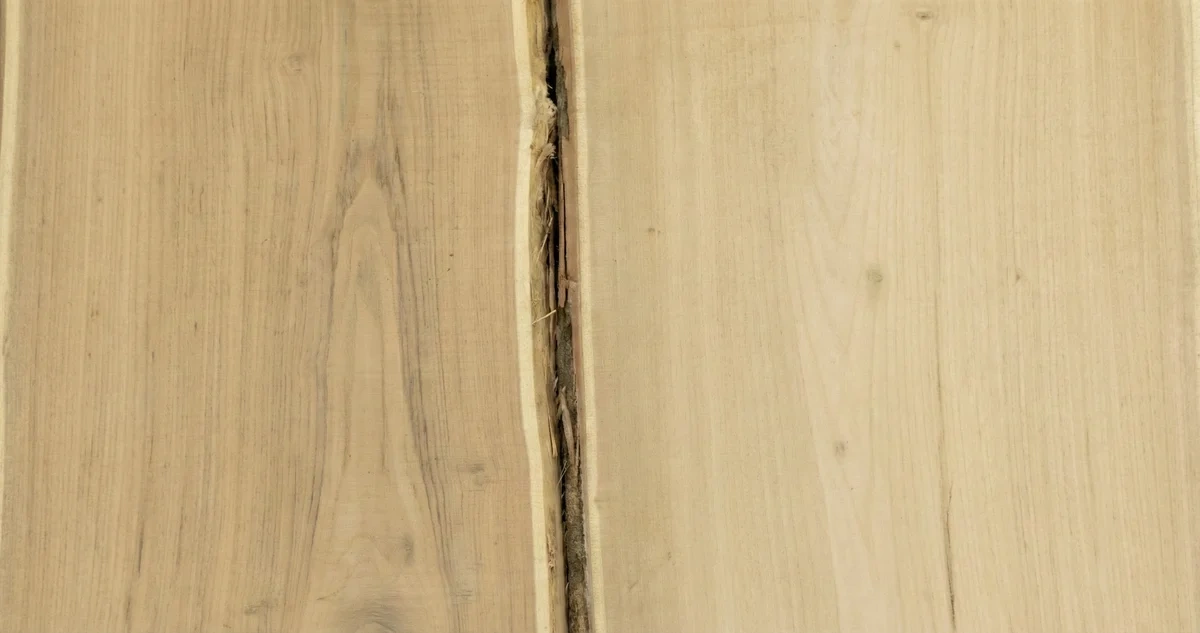 Doshka neobrizna akatsiia 32mm 01 1