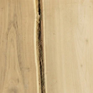 Doshka neobrizna akatsiia 32mm 01