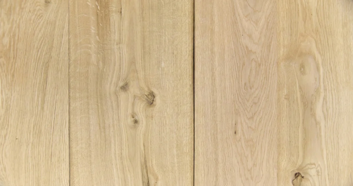 Tekstura derevyny duba 01