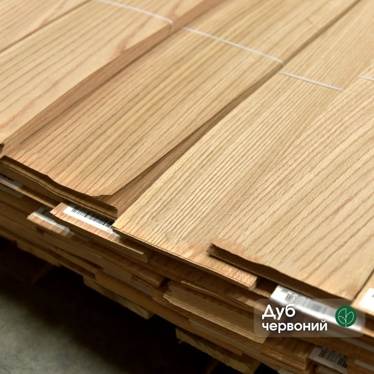 Photo 2026 02 20 13 52 48